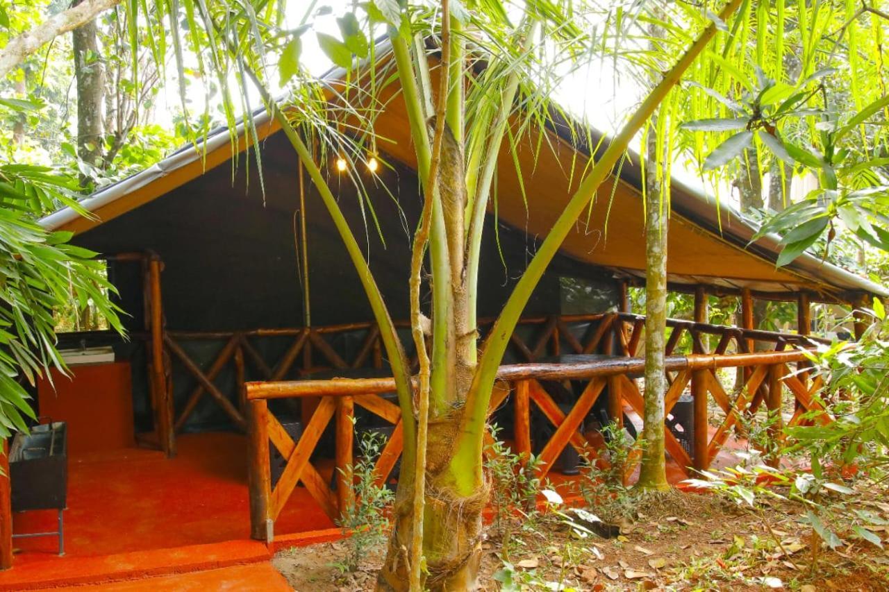 Greens Tree House & Wood House Салтэн-Батери Экстерьер фото