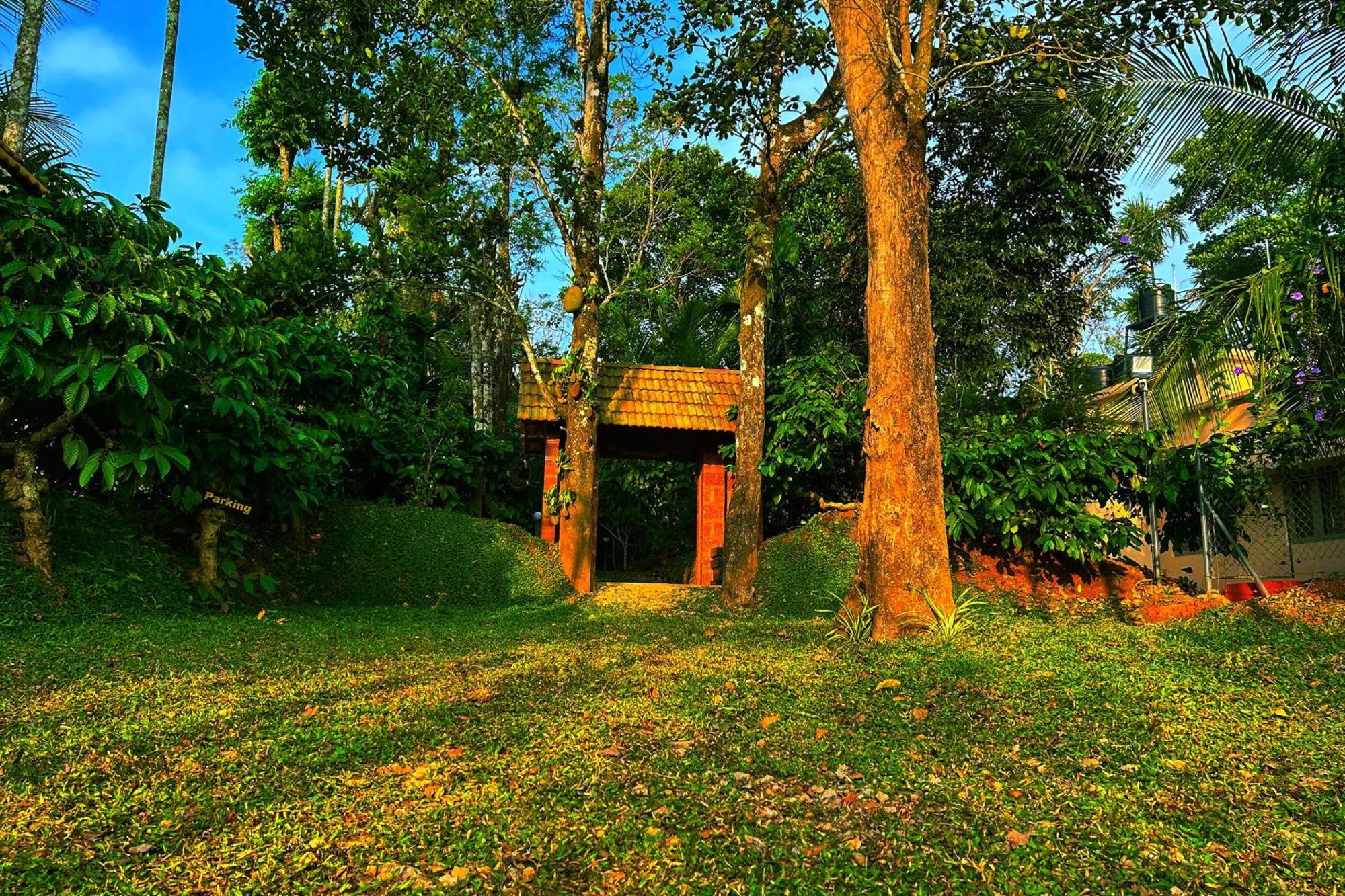 Greens Tree House & Wood House Салтэн-Батери Экстерьер фото
