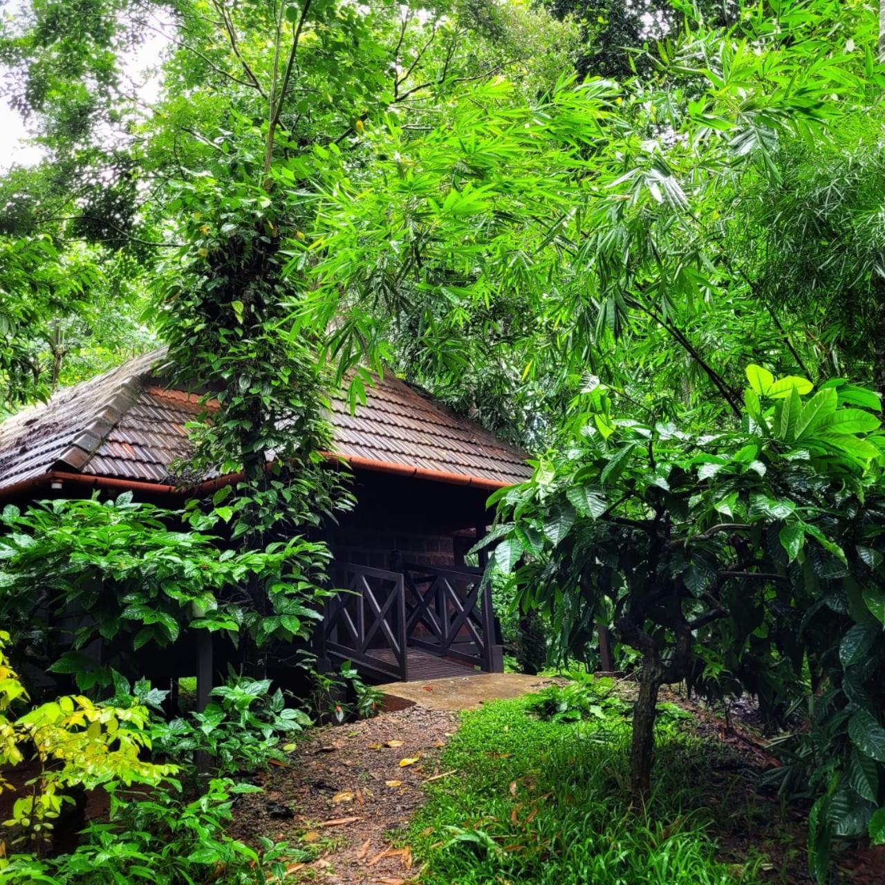 Greens Tree House & Wood House Салтэн-Батери Экстерьер фото