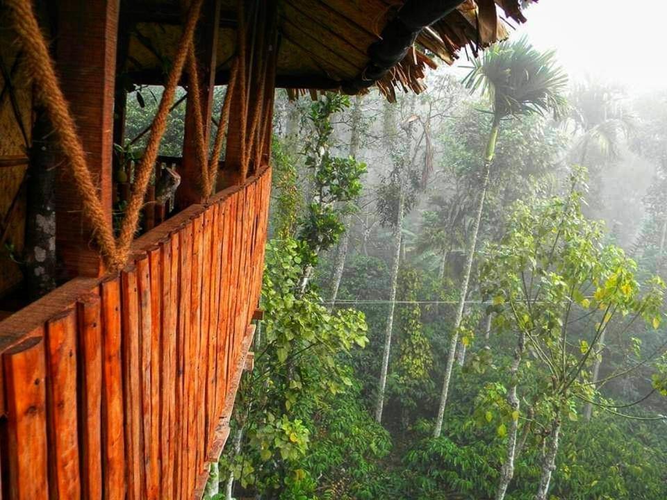 Greens Tree House & Wood House Салтэн-Батери Экстерьер фото