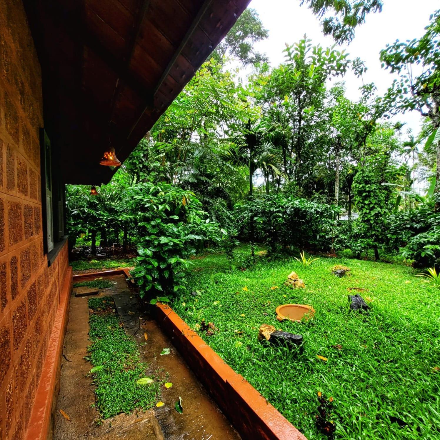 Greens Tree House & Wood House Салтэн-Батери Экстерьер фото
