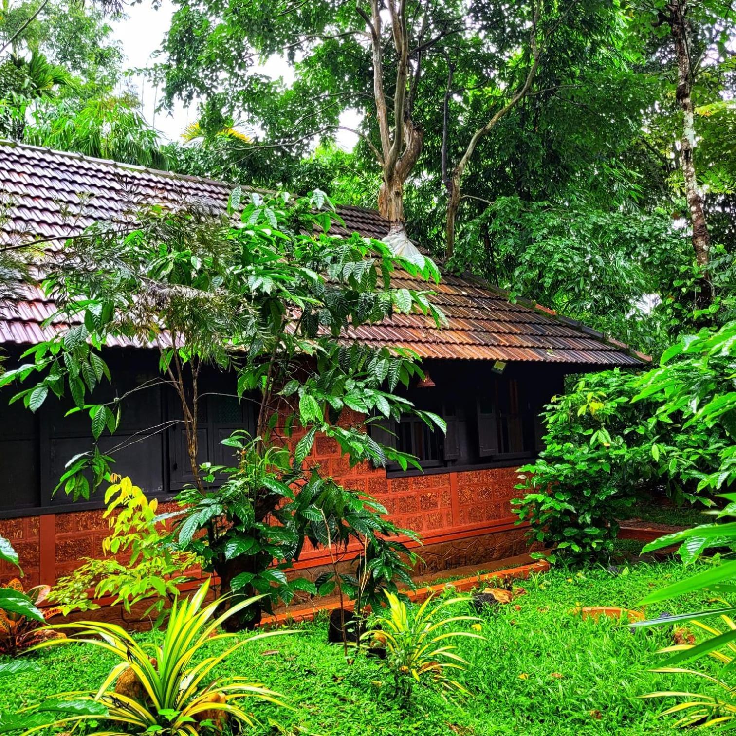 Greens Tree House & Wood House Салтэн-Батери Экстерьер фото