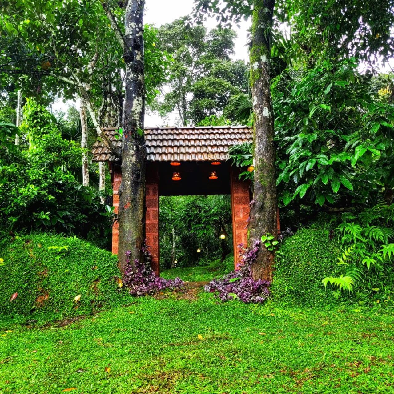 Greens Tree House & Wood House Салтэн-Батери Экстерьер фото