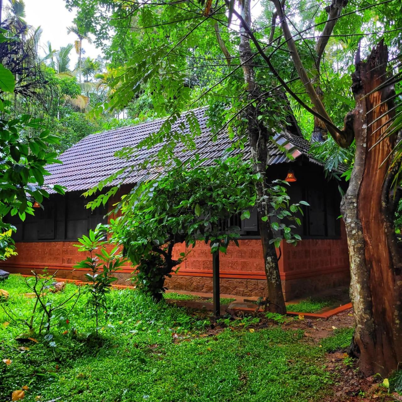 Greens Tree House & Wood House Салтэн-Батери Экстерьер фото