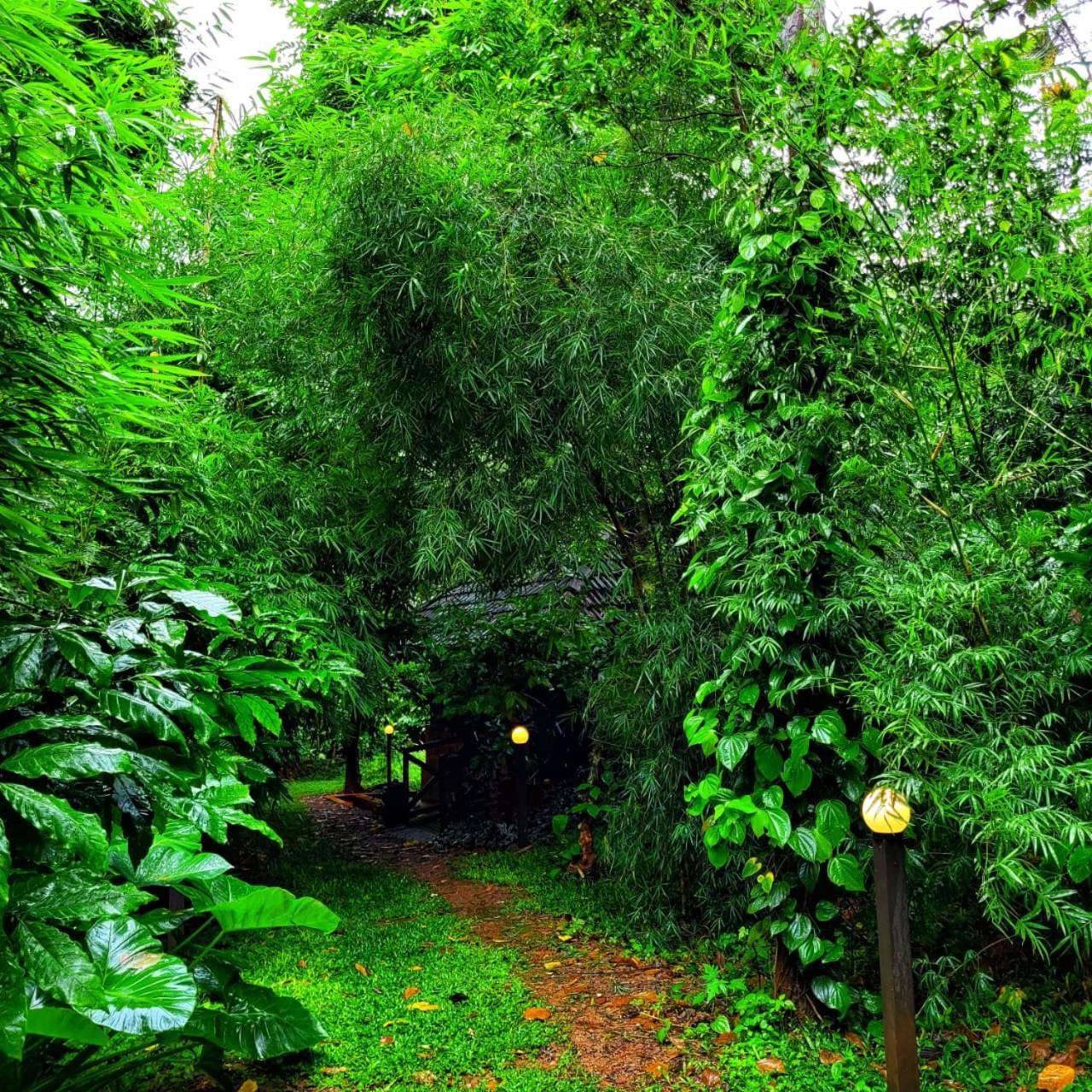 Greens Tree House & Wood House Салтэн-Батери Экстерьер фото